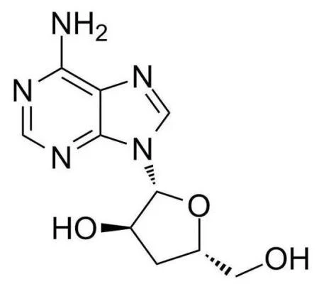 Cordycepin, CAS No. 73-03-0 Cordycepin, CAS No. 73-03-0