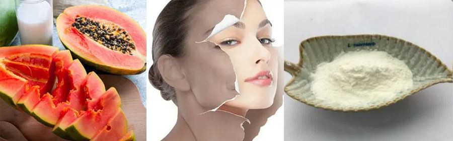 Wholesale Papain Enzyme Powder