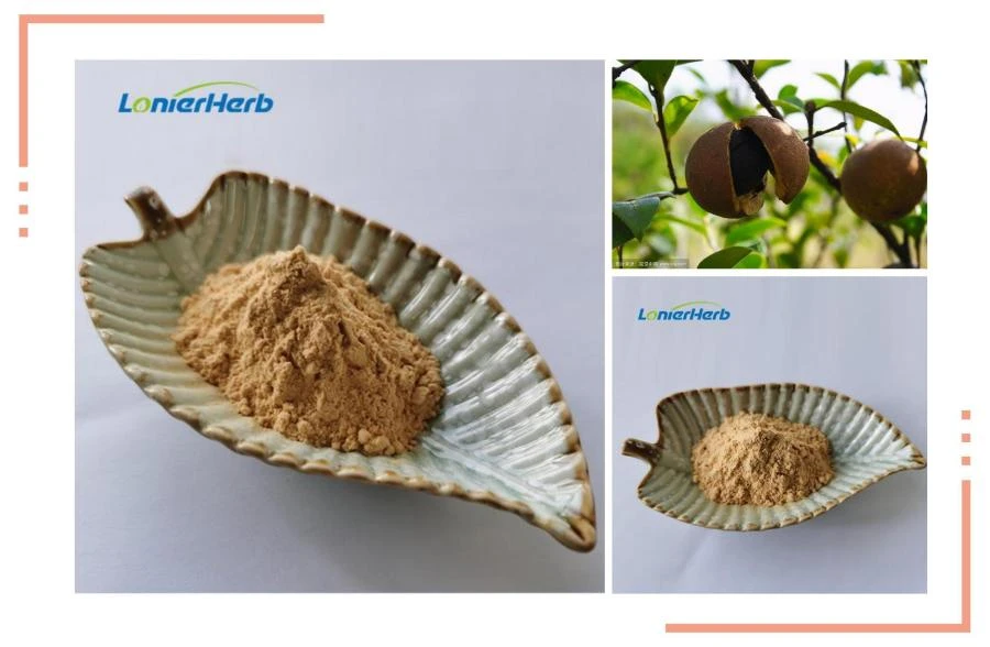 Camellia Oleifera Seeds Extract,Tea Saponin Powder