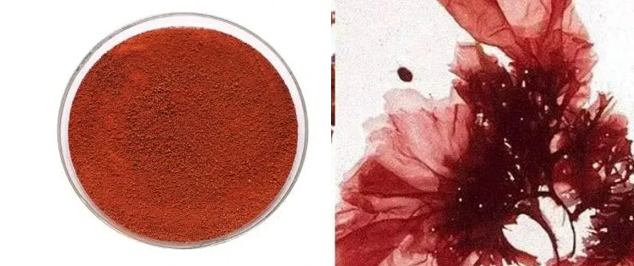 natural astaxanthin powder natural astaxanthin powder