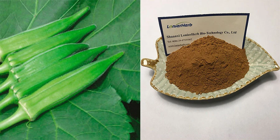 Vegan Abelmoschus Esculentus Extract Free Sample
