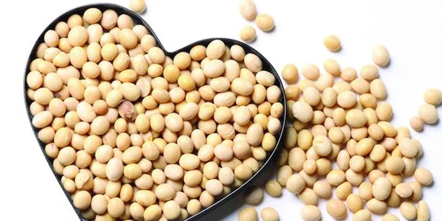 Stigmasterol 95% Stigmasterol 95%