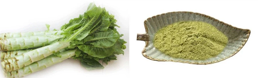 Lettuce Powder Lettuce Powder