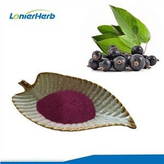 Aronia Powder
