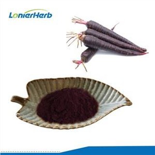 Crna šargarepa u prahu