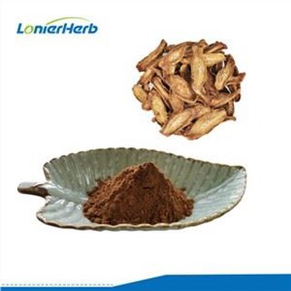 Ekstrakt čička u prahu