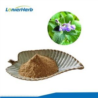 Ekstrakt mačje trave u prahu