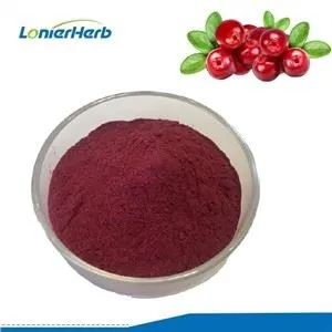 Voće brusnice u prahu