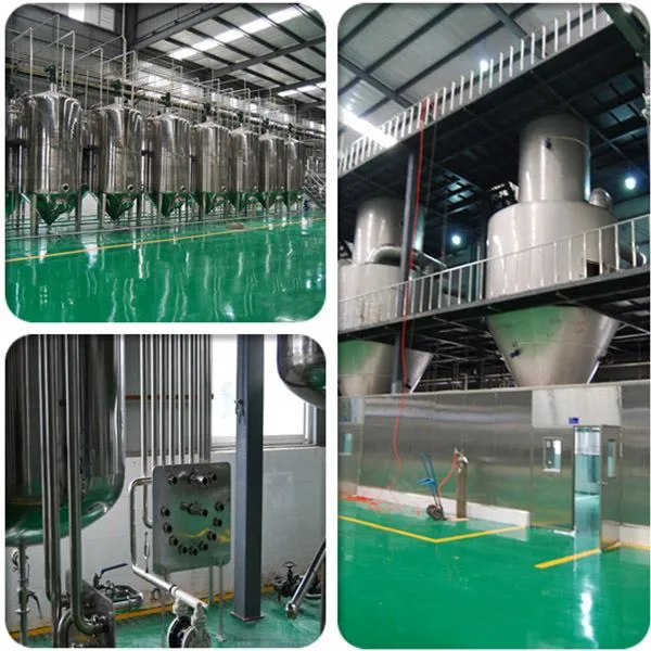 Monk Fruit Erythritol Sweetener