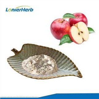 Jabučni sok u prahu