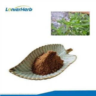 Ekstrakt Hedyotis Diffusa