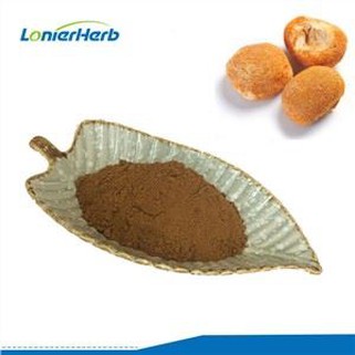 Ekstrakt gljive Hericium Erinaceus