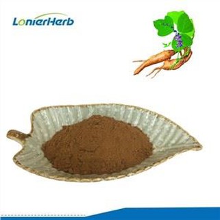 Ekstrakt Pueraria Lobata