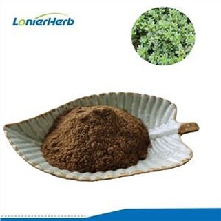 Ekstrakt biljke purslane