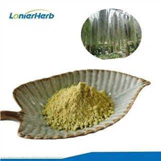 Usnea Acid Powder
