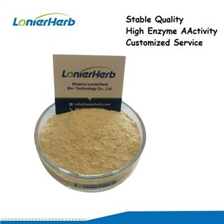 Celulazni enzimski prah