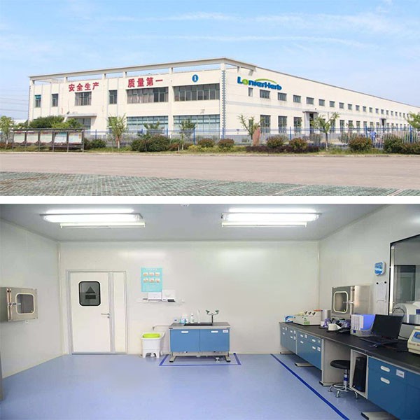 Cnidium Monnieri Extract best