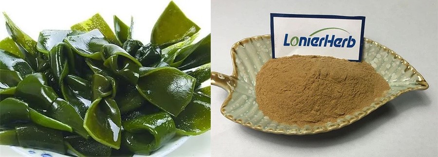 Fucoxanthin Seaweed factory Fucoxanthin Seaweed factory