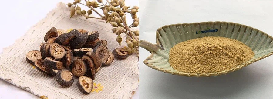 Hesperidin-1 Hesperidin-1