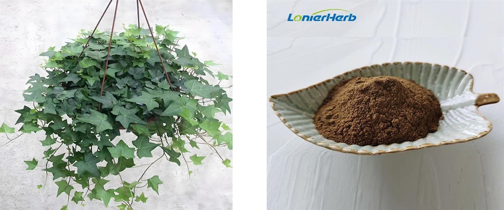 Hederacosides 5 Hederacosides 5