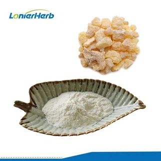 Mastic Gum Extract Powder