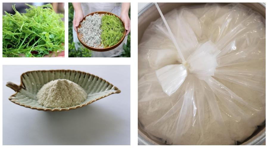 Dihydromyricetin Powder Vine Tea Extract Dihydromyricetin Powder Vine Tea Extract